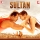 THE SULTANATE OF VISHAL-SHEKHAR IS BACK TO REIGN!! (SULTAN - Music Review)